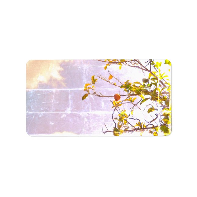 ADRESSETIKETTER COOL ECO-FORMAT ESIGN (Framsidan)
