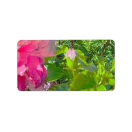 ADRESSETIKETTER COOL ECO-FORMAT ESIGN