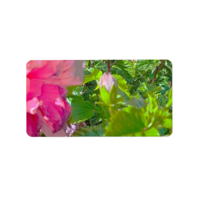 ADRESSETIKETTER COOL ECO-FORMAT ESIGN (Framsidan)