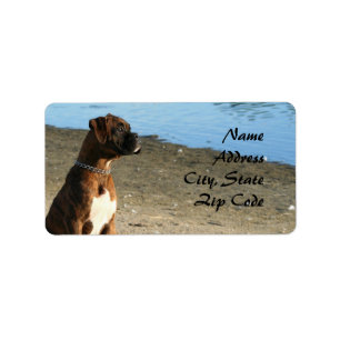Adressetiketter för Brindle Boxer-hund