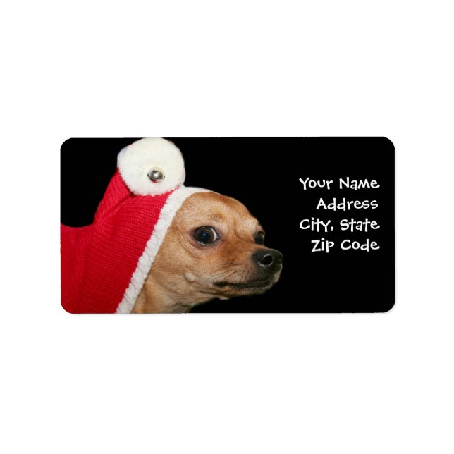 Adressetiketter för julchihuahua-hund (Framsidan)