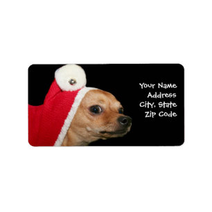 Adressetiketter för julchihuahuahund
