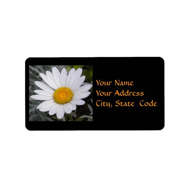 Adressetiketter för Shasta Daisy (Framsidan)