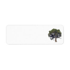 Adressetiketter konst&designstilar returadress etikett