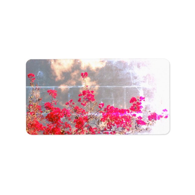 ADRESSETIKETTER KOOL ECO-FORMGIVNING (Framsidan)