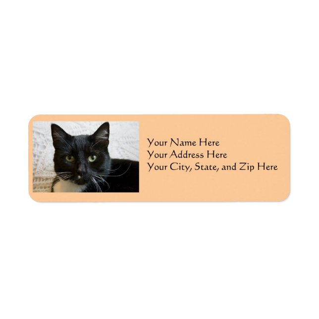 Adressetiketter: Lilly Cat Returadress Etikett (Framsidan)