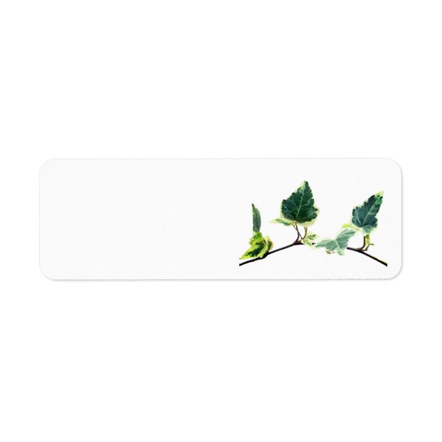 ADRESSETIKETTER RETURADRESS ETIKETT (Framsidan)