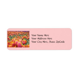 Adressetiketter Tulpan Blommor Rosa Tulpaner Returadress Etikett
