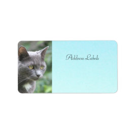 Adressetiketterna kattunge adressetikett