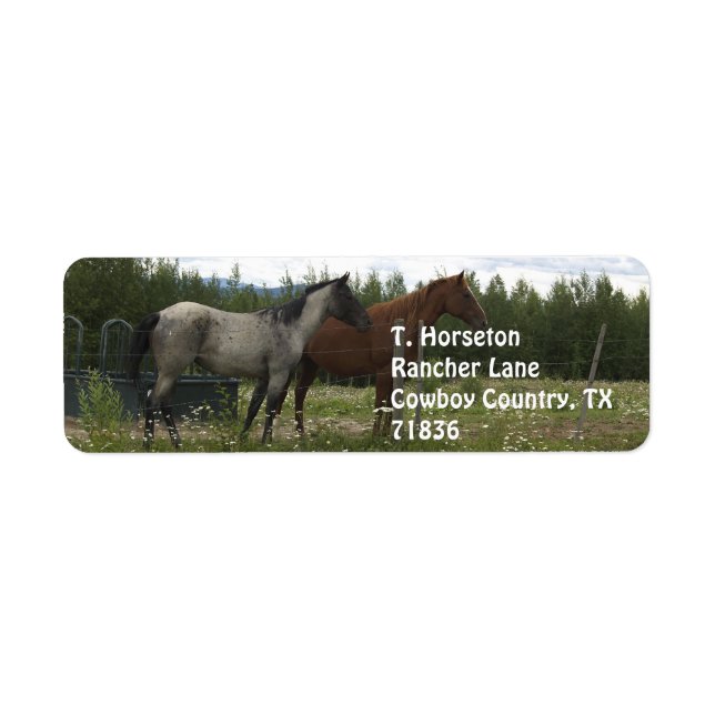 Adressetiketterna Roan och Appaloosa Returadress Etikett (Framsidan)