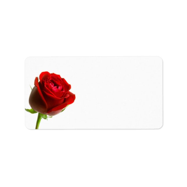 Adressetiketterna röd ros adressetikett (Framsidan)