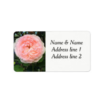 adressetiketterna rosa ros