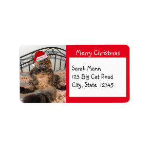 Adressetiketterna Santa Cat God jul Adressetikett
