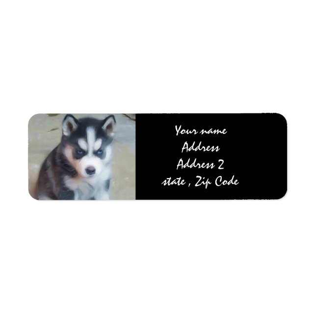 Adressetiketterna siberian husky Puppy Returadress Etikett (Framsidan)
