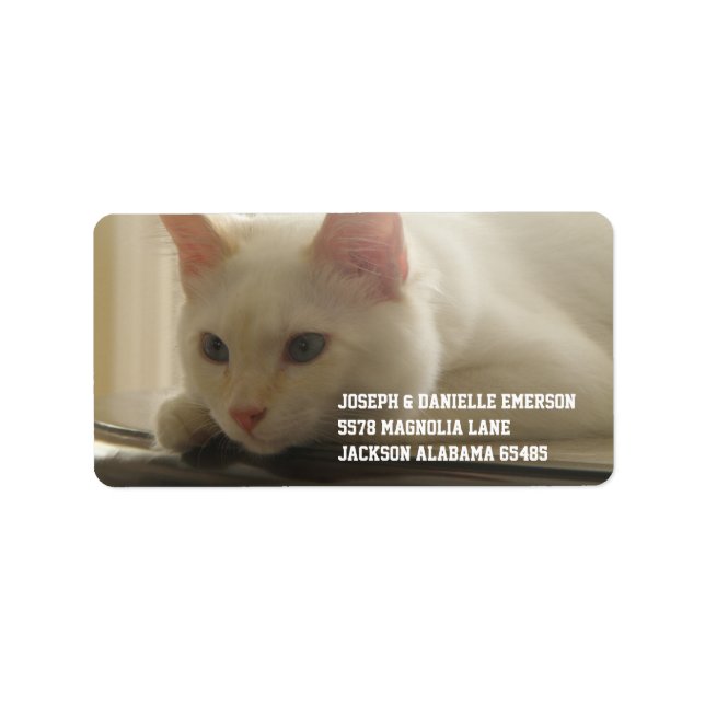 Adressetiketterna Vita Kattunge Adressetikett (Framsidan)