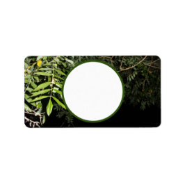 Adressetiketternas coola Miljödesign stilar Adressetikett