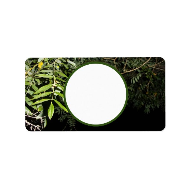 Adressetiketternas coola Miljödesign stilar Adressetikett (Framsidan)