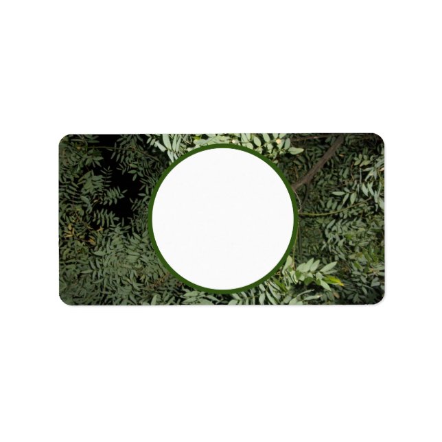 Adressetiketternas coola Miljödesign stilar Adressetikett (Framsidan)