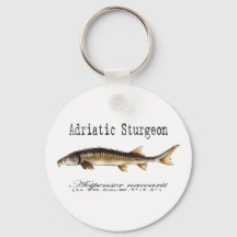Adriatic Sturgeon Item