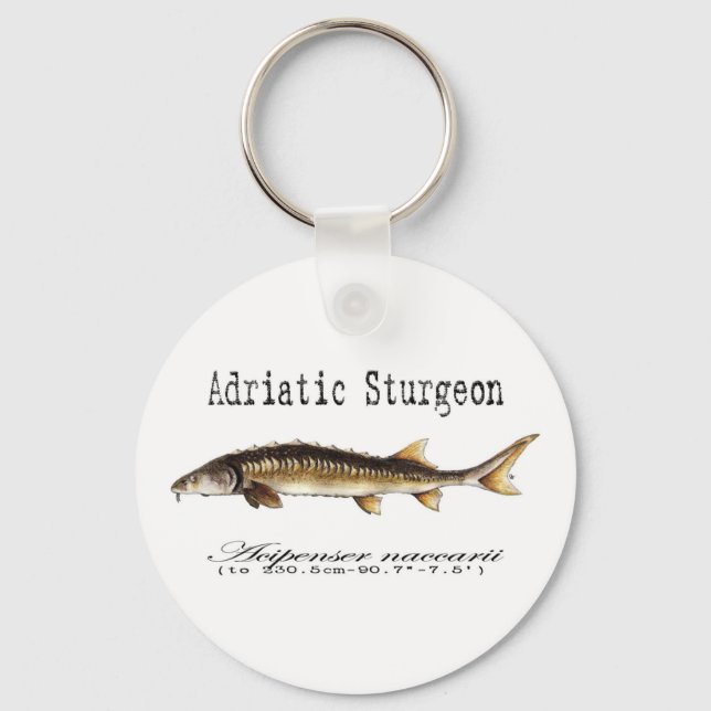 Adriatic Sturgeon Item Nyckelring (Framsida)