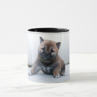 Adsible Akita puppy hund, kaffe kopp