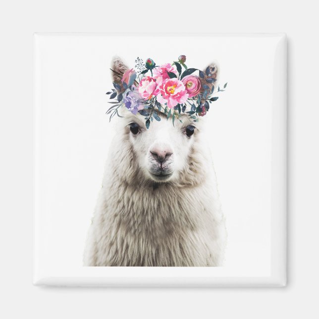 Adsible Alpaca Magnet (Framsidan)