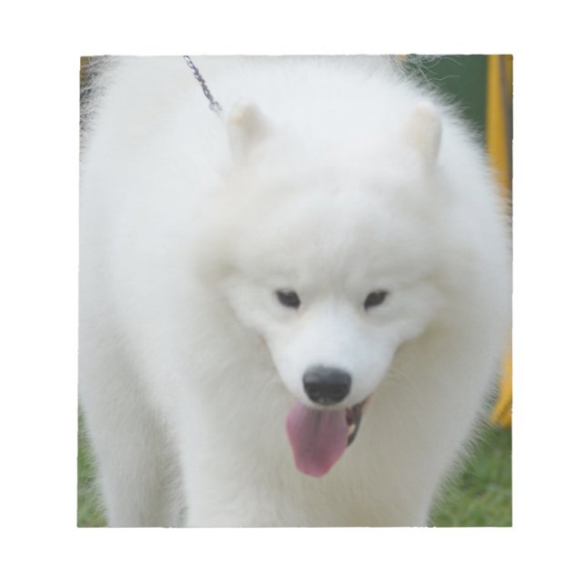 Adsible American Eskimo Hund Anteckningsblock (Framsida)