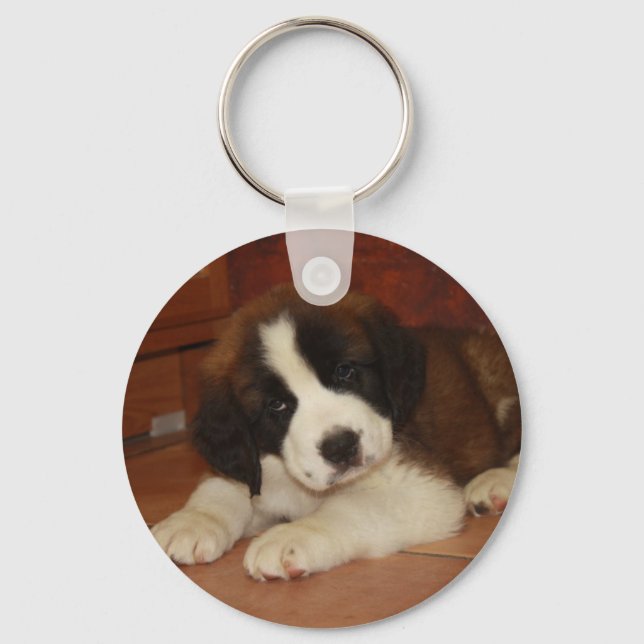 Adsible and Sweet St. Bernard Puppy Nyckelring (Framsida)