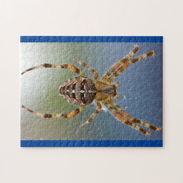 Adsible Arachnid Spider Photo Puzzle Pussel (Horisontell)