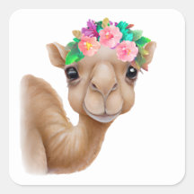 Adsible Baby Camel