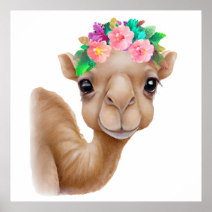 Adsible Baby Camel Poster