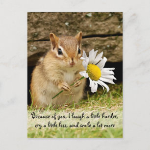 Adsible Baby Chipmunk med Vänskap Quote Vykort