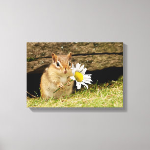 Adsible Baby Chipmunk with Daisy Wrapped Canvas