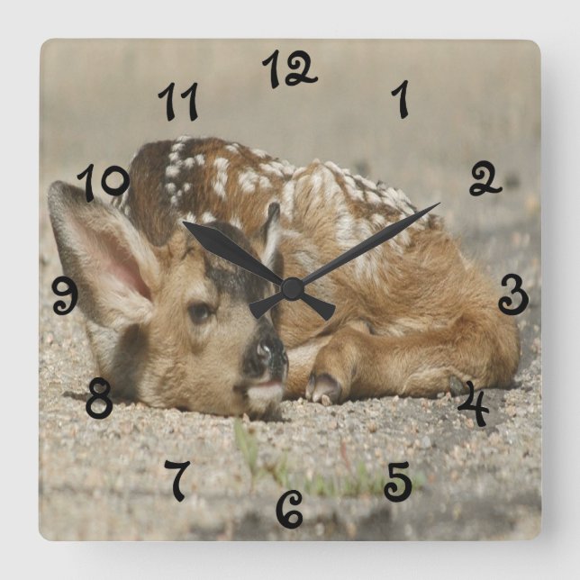 Adsible Baby Fawn Fyrkantig Klocka (Framsida)