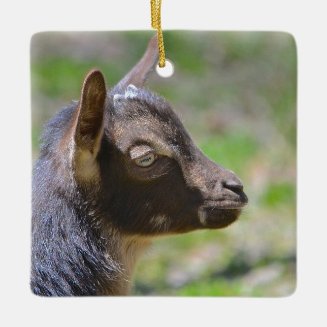 Adsible Baby Goat Julgransprydnad Keramik (Framsida)