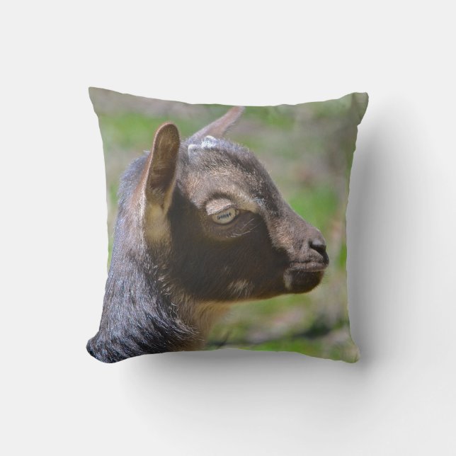 Adsible Baby Goat Kudde (Framsida)
