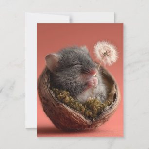 Adsible Baby Mouse Sleeping in a Walnut Snäcka Vykort