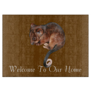 Adsible Baby Ringtail Possum i Australien