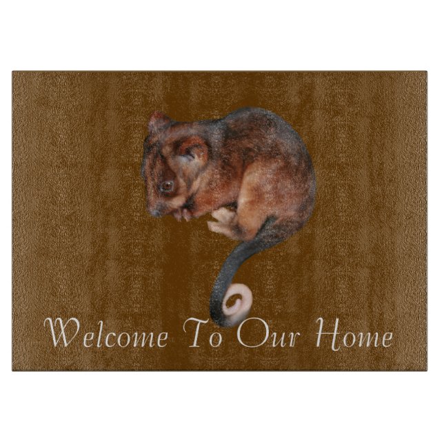 Adsible Baby Ringtail Possum i Australien (Framsidan)