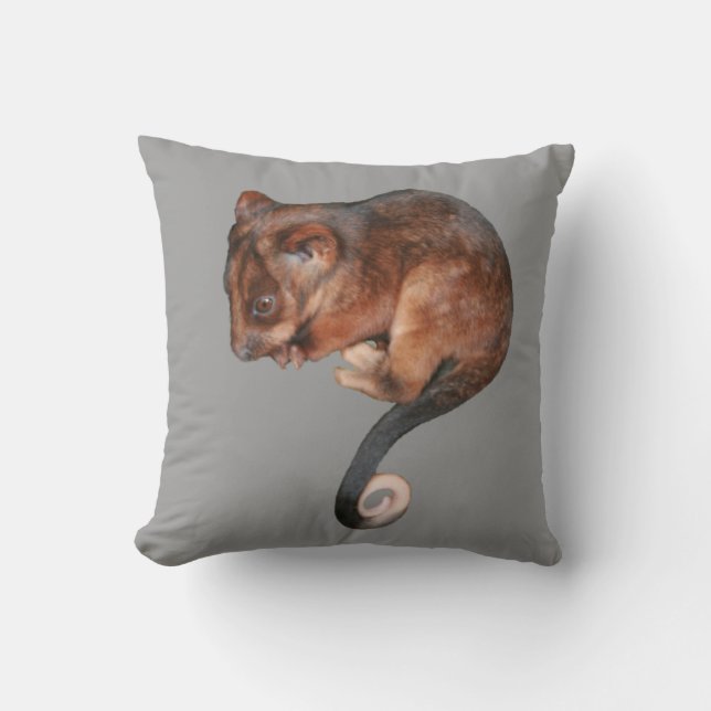 Adsible Baby Ringtail Possum i Australien Kudde (Framsida)