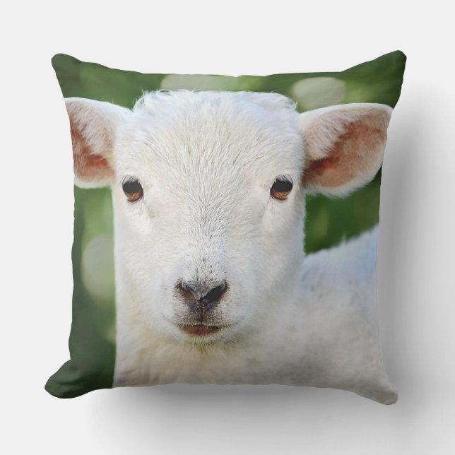 Adsible Baby Sheep Kudde (Framsida)
