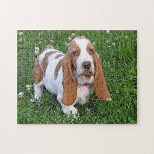 Adsible Basset Hound Puppy Pussel (Horisontell)