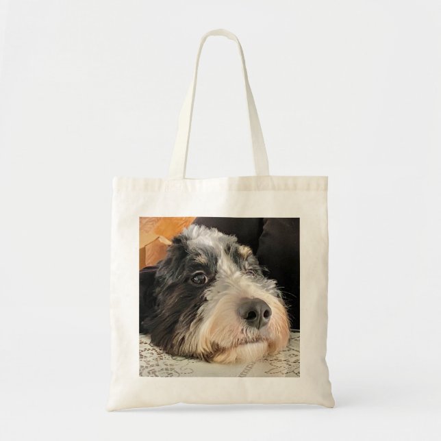 Adsible Bernedoodle Tygkasse (Framsidan)