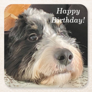 Adsible Bernedoodle Underlägg Papper Kvadrat
