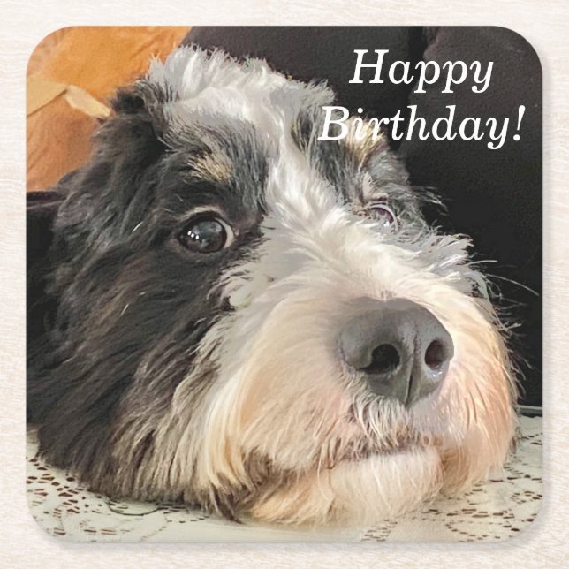 Adsible Bernedoodle Underlägg Papper Kvadrat (Framsidan)