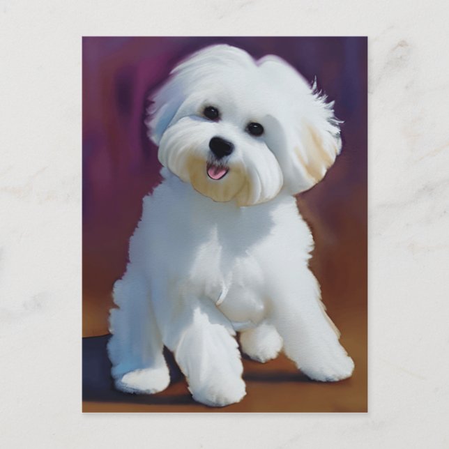 Adsible Bichon Havanese Puppy Watercolor Vykort (Framsida)