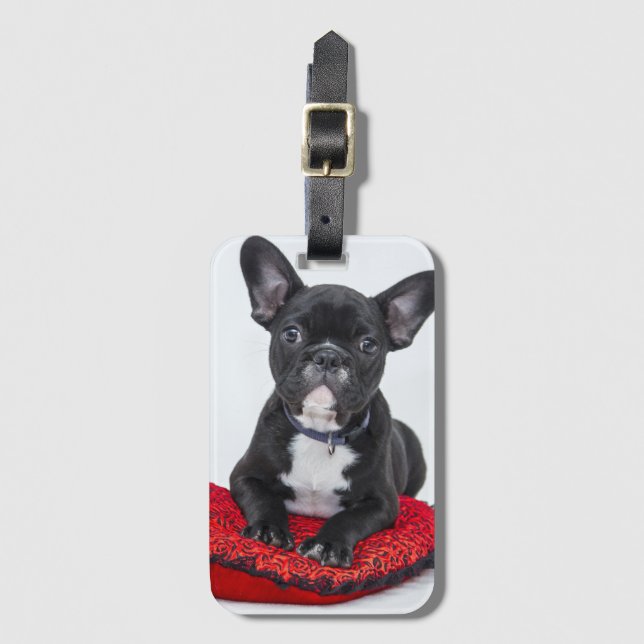 Adsible Black and White Bulldog Puppy Photo Bagagebricka (Framsida vertikal)