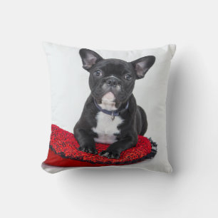 Adsible Black and White Bulldog Puppy Photo Kudde