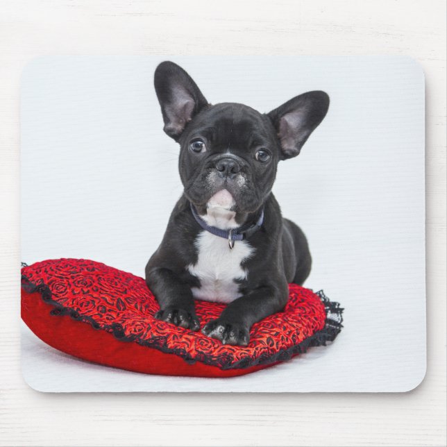 Adsible Black and White Bulldog Puppy Photo Musmatta (Framsidan)