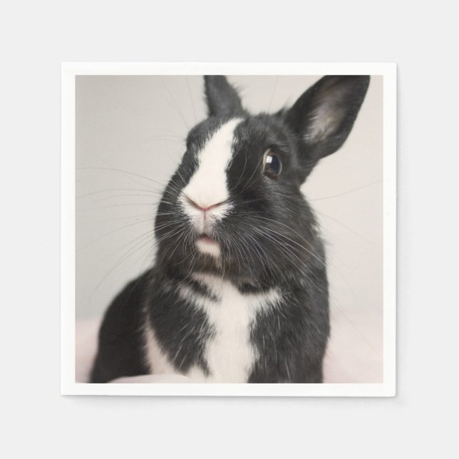 Adsible Black and White Bunny Rabbit Pappersservett (Framsidan)